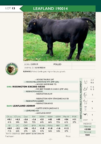 Page 29 Leafland Simmental Catalogue ebook